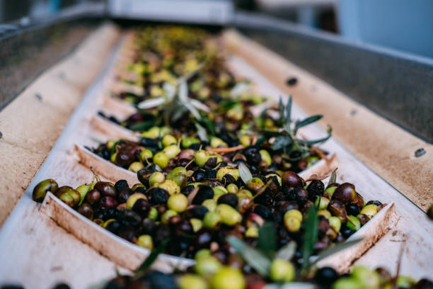 Huile olive qualité